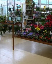 Central fleurs image 8