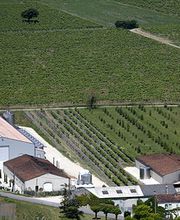 Cognac Seguinot image 9