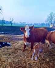 GUT STRETENSE Bild 2