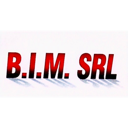 B.I.M logo