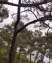 Beaudout Raphael image 17