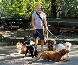 Hundeschule Elmi Bild 2