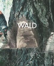 Riedweg Motorgeräte AG Bild 7