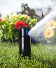 Automatic Garden Bild 2