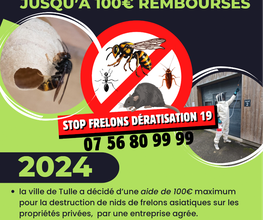 Stop Frelons image 15