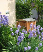 Immergrün Pool-, Garten- und Umwelttechnik Bild 3