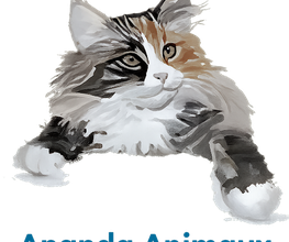 Ananda Animaux image 6