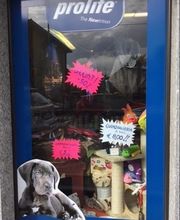 Gallery Cliente