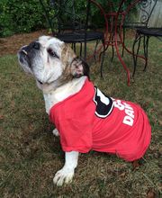 Monroe Animal Care Hospital image 16