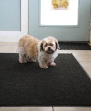 Borash Veterinary Clinic image 10