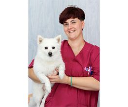 Veterinario Alcorcón imagen 6