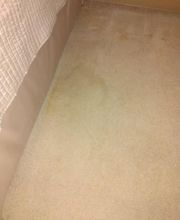 May's Carpet Cleaning image 5