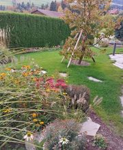 D. Meier Umgebungsarbeiten GmbH Bild 5