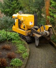 Boomverzorging Bouwmeester