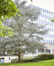 Institut Agro Dijon image 1
