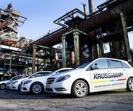 Krüssmann Bild 2