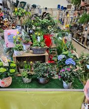 POINT VERT VALCADIS FRANCHISÉ INDÉPENDANT image 3