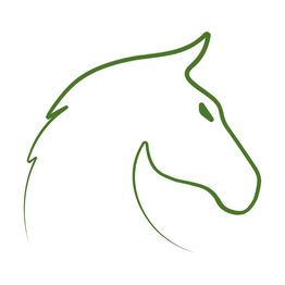 Carowesa Westernreiten
