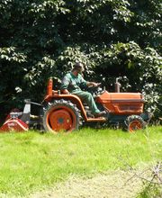 Nicolas Mercier image 3