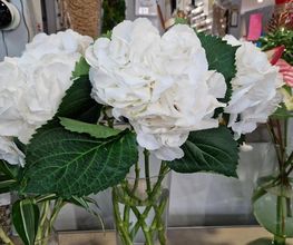 Test Fleurs image 1