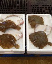 Gilles et Compagnie image 3