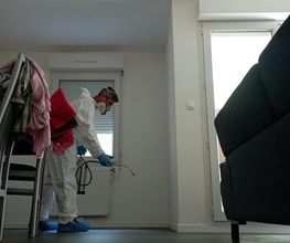 Désinsectetout image 10