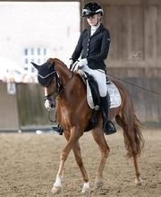 Dressurteam Schleich Bild 9