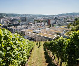 LBS in Stuttgart-Mitte Bild 1