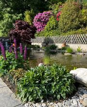 AQVA Irrigation & Outdoor Lighting Solutions - AQVA Sagl Bild 5