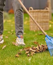 Mantenimiento de jardines y piscinas Wolfgang Marschall imagen 6