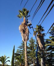 L AMI DES SAISONS image 6