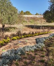 Cementiri Les Pruelles Sitges imagen 6