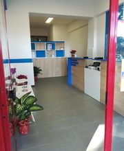 Gallery Cliente