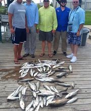 Southern Salt Outdoors image 17