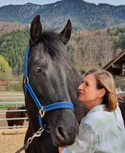 Nicola Annaberger, Pferdeosteopathie Oberland, Pferdephysiotherapie Oberbayern, Pferdeosteopathie Oberbayern, Osteo Pferd Bild 11
