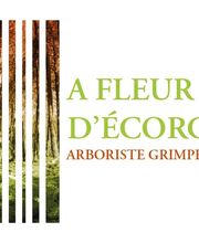 A Fleur d'Ecorce EURL image 5