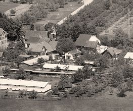 Soller Junghennen AG Bild 13