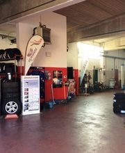 Gallery Cliente