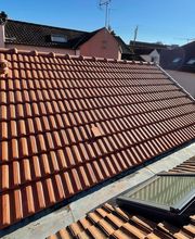 Seneca Antony image 1