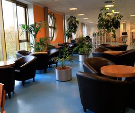 Café Inge Bild 1