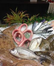 Armor Pesked image 12