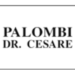 Palombi Dr. Cesare logo