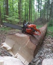 Forstbetrieb Blackforest Bild 2