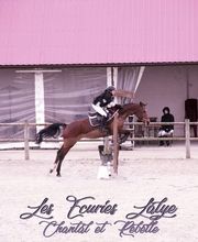 Ecuries Lalye GUILLAUMEE CHANTAL image 11