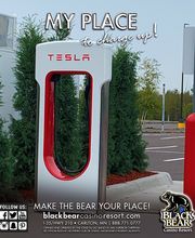 Black Bear Casino Resort image 4