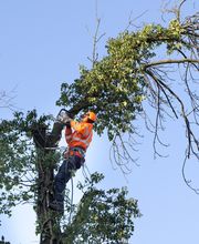 Düzgün Gartenbau Bild 1