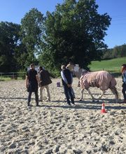 PIMAN - Assess, Build and Lead Talents - PI Management Bild 3