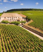 Maison Louis Latour image 2