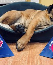 MMA - Coupeau Thierry image 5