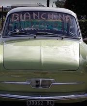 Gallery Cliente